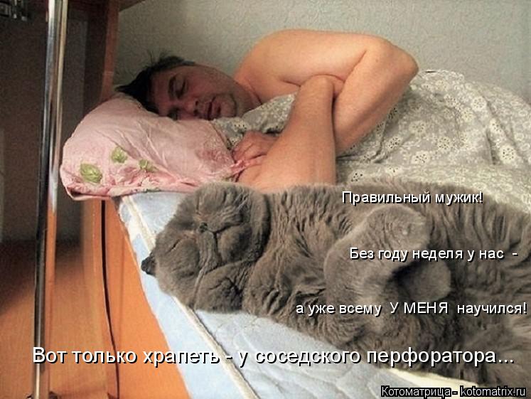 Правильный мужик! Вот только храпеть - у соседского перфоратора... Без году неделя у нас - а уже все... Котоматрица: Правильный мужик! Вот только храпеть - у соседского перфоратора... Без году неделя у нас - а уже всему У МЕНЯ научился!