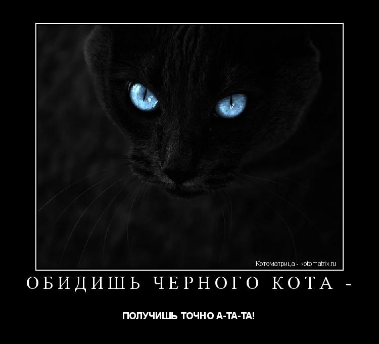 ОБИДИШЬ ЧЕРНОГО КОТА - ПОЛУЧИШЬ ТОЧНО А-ТА-ТА!... Котоматрица: ОБИДИШЬ ЧЕРНОГО КОТА - ПОЛУЧИШЬ ТОЧНО А-ТА-ТА!