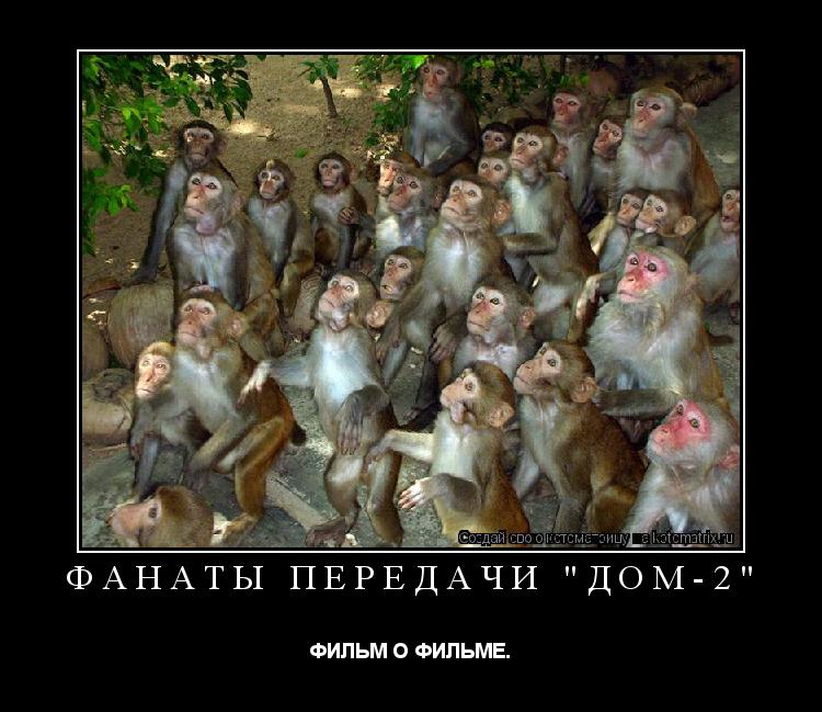 ФАНАТЫ ПЕРЕДАЧИ "ДОМ-2" ФИЛЬМ О ФИЛЬМЕ.... Котоматрица: ФАНАТЫ ПЕРЕДАЧИ "ДОМ-2" ФИЛЬМ О ФИЛЬМЕ.