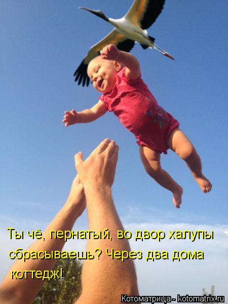 Ты чё, пернатый, во двор халупы сбрасываешь? Через два дома коттедж!... Котоматрица: Ты чё, пернатый, во двор халупы сбрасываешь? Через два дома коттедж!