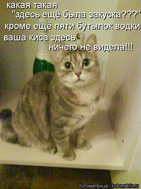 какая такая "здесь ещё была закуска???" ваша киса здесь ничего не видела!!! кроме ещё пяти бутылок ... Котоматрица: какая такая "здесь ещё была закуска???" ваша киса здесь ничего не видела!!! кроме ещё пяти бутылок водки