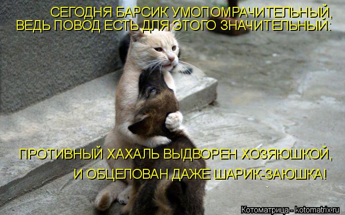 СЕГОДНЯ БАРСИК УМОПОМРАЧИТЕЛЬНЫЙ, ВЕДЬ ПОВОД ЕСТЬ ДЛЯ ЭТОГО ЗНАЧИТЕЛЬНЫЙ: ПРОТИВНЫЙ ХАХАЛЬ ВЫДВОРЕН ... Котоматрица: СЕГОДНЯ БАРСИК УМОПОМРАЧИТЕЛЬНЫЙ, ВЕДЬ ПОВОД ЕСТЬ ДЛЯ ЭТОГО ЗНАЧИТЕЛЬНЫЙ: ПРОТИВНЫЙ ХАХАЛЬ ВЫДВОРЕН ХОЗЯЮШКОЙ, И ОБЦЕЛОВАН ДАЖЕ ШАРИК-ЗА