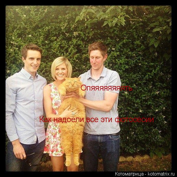 Как надоели все эти фотосесии Опяяяяяяяять... Котоматрица: Как надоели все эти фотосесии Опяяяяяяяять