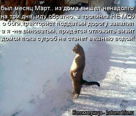 был месяц Март.. из дома вышел ненадолго на три дня, иду обратно, а тропинка НЕ МОЯ о боги,тракторист... Котоматрица: был месяц Март.. из дома вышел ненадолго на три дня, иду обратно, а тропинка НЕ МОЯ о боги,тракторист поддатый дорогу завалил а я -не виноваты