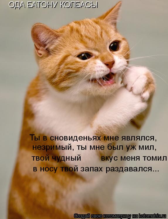 ОДА БАТОНУ КОЛБАСЫ Ты в сновиденьях мне являлся, незримый, ты мне был уж мил, в носу твой запах раз... Котоматрица: ОДА БАТОНУ КОЛБАСЫ Ты в сновиденьях мне являлся, незримый, ты мне был уж мил, в носу твой запах раздавался... твой чудный вкус меня томил,