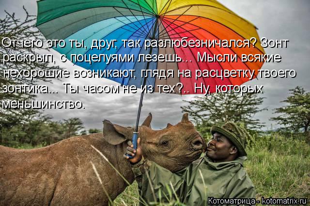 Отчего это ты, друг, так разлюбезничался? Зонт раскрыл, с поцелуями лезешь... Мысли всякие нехорошие ... Котоматрица: Отчего это ты, друг, так разлюбезничался? Зонт раскрыл, с поцелуями лезешь... Мысли всякие нехорошие возникают, глядя на расцветку твоего зон