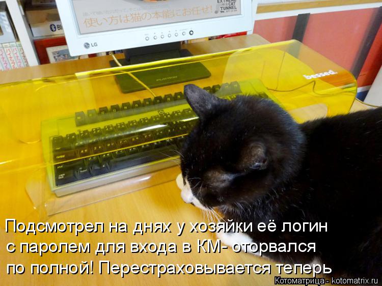 Подсмотрел на днях у хозяйки её логин с паролем для входа в КМ- оторвался по полной! Перестраховывает... Котоматрица: Подсмотрел на днях у хозяйки её логин с паролем для входа в КМ- оторвался по полной! Перестраховывается теперь