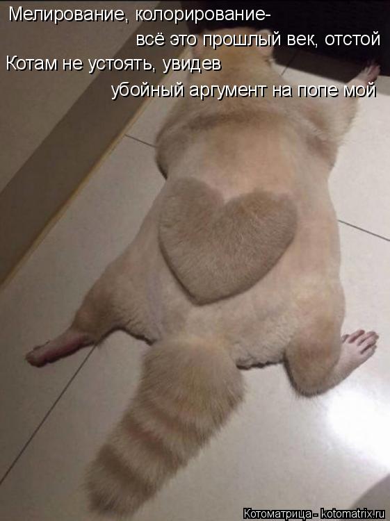 Мелирование, колорирование- всё это прошлый век, отстой убойный аргумент на попе мой Котам не устоят... Котоматрица: Мелирование, колорирование- всё это прошлый век, отстой убойный аргумент на попе мой Котам не устоять, увидев