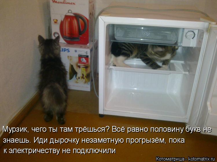 Мурзик, чего ты там трёшься? Всё равно половину букв не знаешь. Иди дырочку незаметную прогрызём, пок... Котоматрица: Мурзик, чего ты там трёшься? Всё равно половину букв не знаешь. Иди дырочку незаметную прогрызём, пока к электричеству не подключили