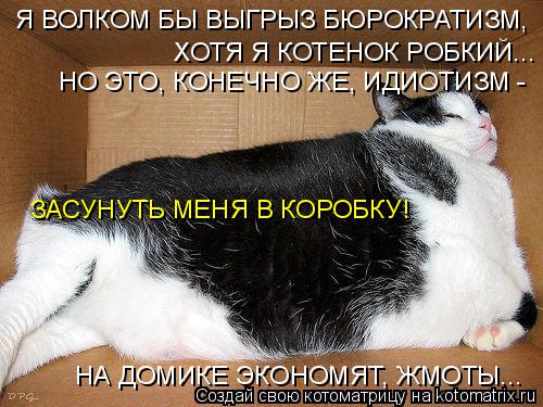 Я ВОЛКОМ БЫ ВЫГРЫЗ БЮРОКРАТИЗМ, ХОТЯ Я КОТЕНОК РОБКИЙ... НО ЭТО, КОНЕЧНО ЖЕ, ИДИОТИЗМ - ЗАСУНУТЬ МЕН... Котоматрица: Я ВОЛКОМ БЫ ВЫГРЫЗ БЮРОКРАТИЗМ, ХОТЯ Я КОТЕНОК РОБКИЙ... НО ЭТО, КОНЕЧНО ЖЕ, ИДИОТИЗМ - ЗАСУНУТЬ МЕНЯ В КОРОБКУ! НА ДОМИКЕ ЭКОНОМЯТ, ЖМОТЫ...
