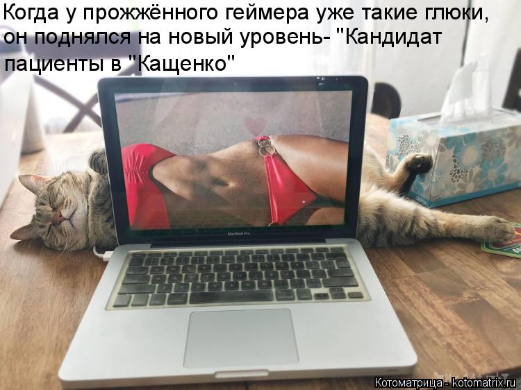 Котоматрица: Когда у прожжённого геймера уже такие глюки, он поднялся на новый уровень- "Кандидат  пациенты в "Кащенко"
