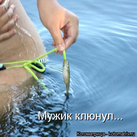 Котоматрица: Мужик клюнул...