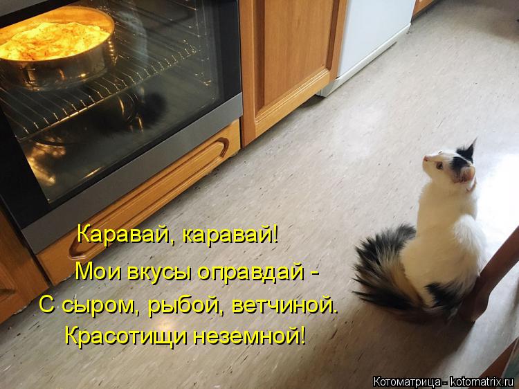 Котоматрица: Каравай, каравай! Мои вкусы оправдай -  С сыром, рыбой, ветчиной. Красотищи неземной!