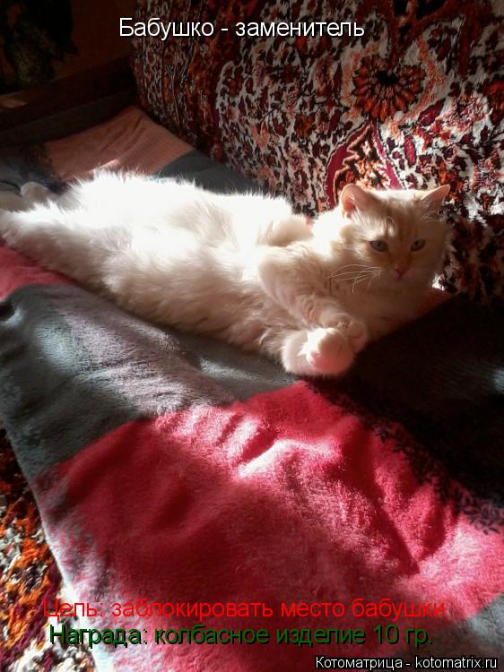 Котоматрица: Бабушко - заменитель Цель: заблокировать место бабушки Награда: колбасное изделие 10 гр.