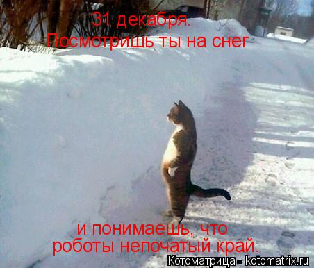 Котоматрица: 31 декабря. Посмотришь ты на снег и понимаешь, что роботы непочатый край.