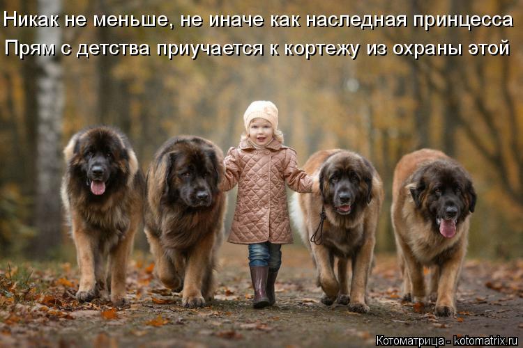 Котоматрица: Прям с детства приучается к кортежу из охраны этой Никак не меньше, не иначе как наследная принцесса