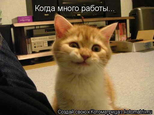 Котоматрица: Когда много работы...