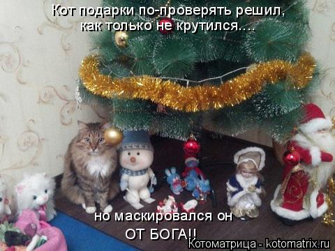 Котоматрица: Кот подарки по-проверять решил, как только не крутился.... но маскировался он ОТ БОГА!!
