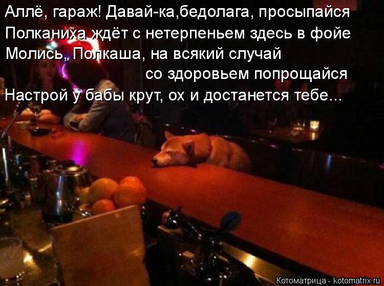 Аллё, гараж! Давай-ка,бедолага, просыпайся Полканиха ждёт с нетерпеньем здесь в фойе Молись, Полкаша,... Котоматрица: Аллё, гараж! Давай-ка,бедолага, просыпайся Полканиха ждёт с нетерпеньем здесь в фойе Молись, Полкаша, на всякий случай со здоровьем попрощай