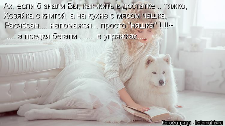 Котоматрица: Ах, если б знали Вы, как жить в достатке... тяжко, Хозяйка с книгой, а на кухне с мясом чашка, Расчёсан.... напомажен... просто "няшка" !!!!+ .... а пред