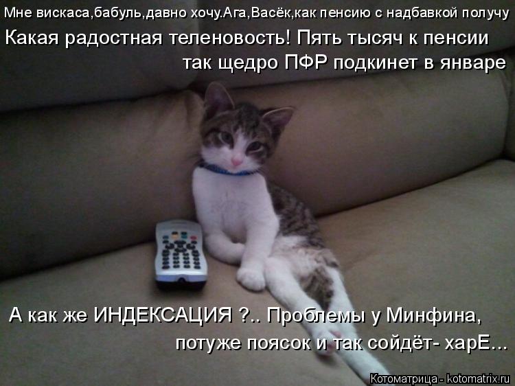 Котоматрица: Мне вискаса,бабуль,давно хочу.Ага,Васёк,как пенсию с надбавкой получу Какая радостная теленовость! Пять тысяч к пенсии так щедро ПФР подкин