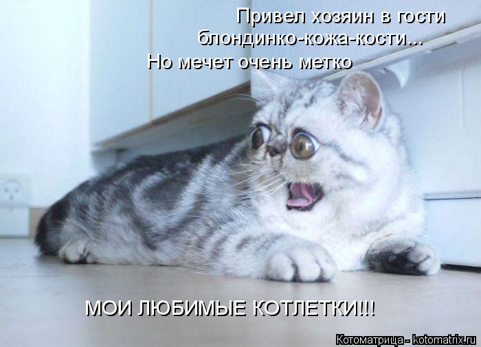 Котоматрица: Привел хозяин в гости блондинко-кожа-кости... Но мечет очень метко МОИ ЛЮБИМЫЕ КОТЛЕТКИ!!!