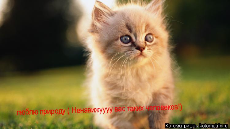 Котоматрица: люблю природу ( Ненавижуууу вас таких человеков!)