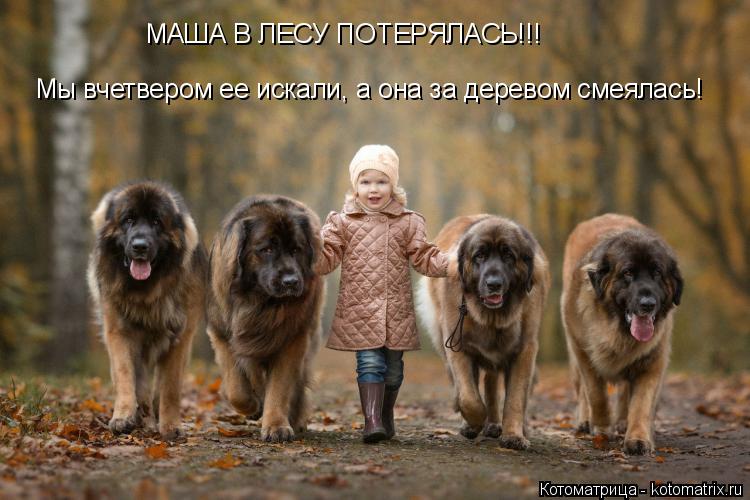 Котоматрица: МАША В ЛЕСУ ПОТЕРЯЛАСЬ!!! Мы вчетвером ее искали, а она за деревом смеялась!