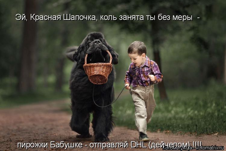 Котоматрица: пирожки Бабушке - отправляй DHL (дейчелом) !!!! Эй, Красная Шапочка, коль занята ты без меры  -