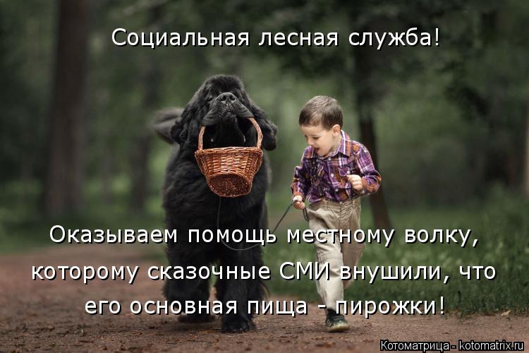 Котоматрица: Социальная лесная служба! Оказываем помощь местному волку, которому сказочные СМИ внушили, что  его основная пища - пирожки!
