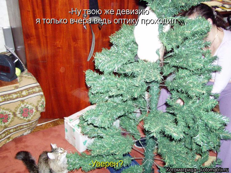 Котоматрица: я только вчера ведь оптику проходил.  -Уверен?  -Ну твою же девизию