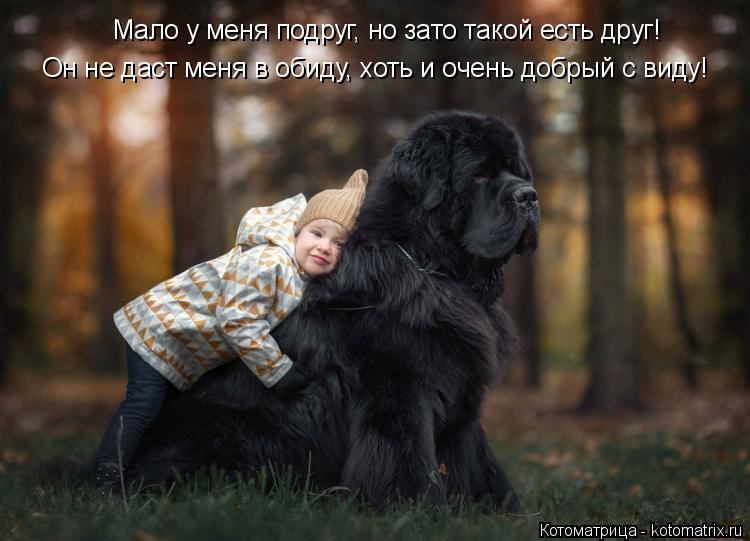 Котоматрица: Мало у меня подруг, но зато такой есть друг! Мало у меня подруг, но зато такой есть друг! Он не даст меня в обиду, хоть и очень добрый с виду!