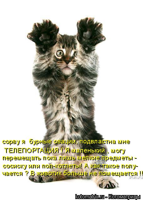 Котоматрица: сорву я  бурные овации, подвластна мне ТЕЛЕПОРТАЦИЯ ! Я маленький , могу перемещать пока лишь мелкие предметы -  сосиску или пол-котлеты! А ка