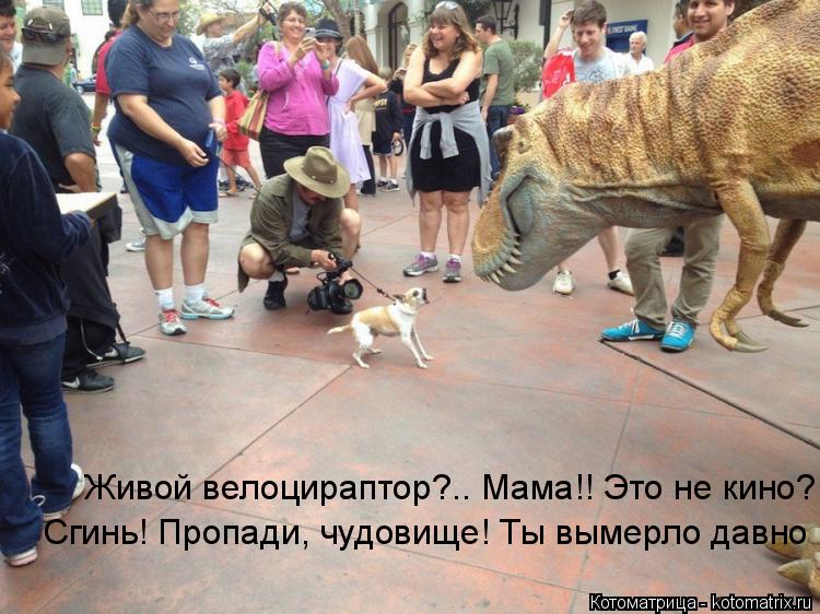 Котоматрица: Сгинь! Пропади, чудовище! Ты вымерло давно Живой велоцираптор?.. Мама!! Это не кино?