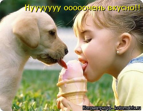 Котоматрица: Нууууууу ооооочень вкусно!! Ну прям немогу как вкууусно