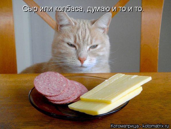 Котоматрица: Сыр или колбаса, думаю и то и то.