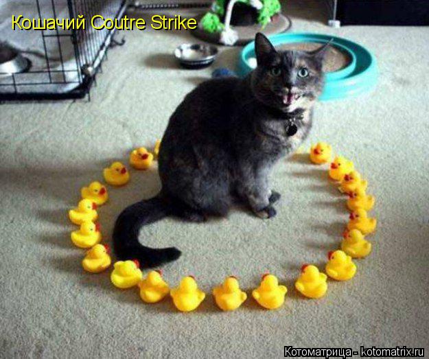 Котоматрица: Кошачий Coutre Strike