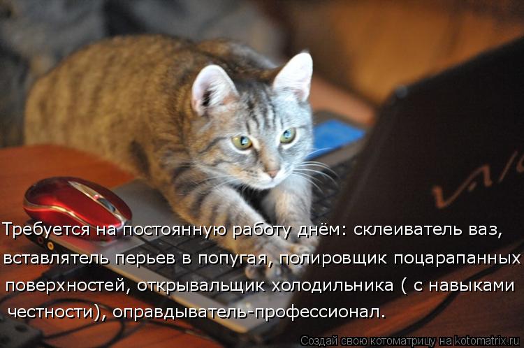 Требуется на постоянную работу днём: склеиватель ваз, вставлятель перьев в попугая, полировщик поцар... Котоматрица: Требуется на постоянную работу днём: склеиватель ваз, вставлятель перьев в попугая, полировщик поцарапанных поверхностей, открывальщик х
