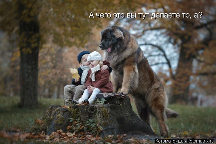 Котоматрица: А чего это вы тут делаете то, а?