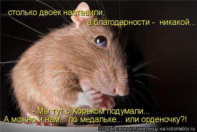 Котоматрица: а благодарности -  никакой... - Мы тут с Хорьком подумали... ...столько двоек наставили,  А можно и нам... по медальке... или орденочку?!