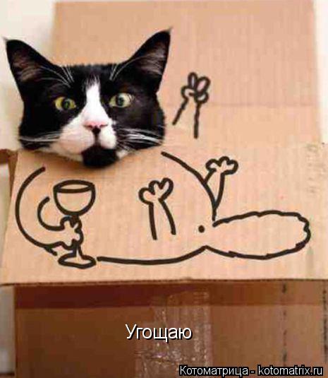 Котоматрица: Угощаю