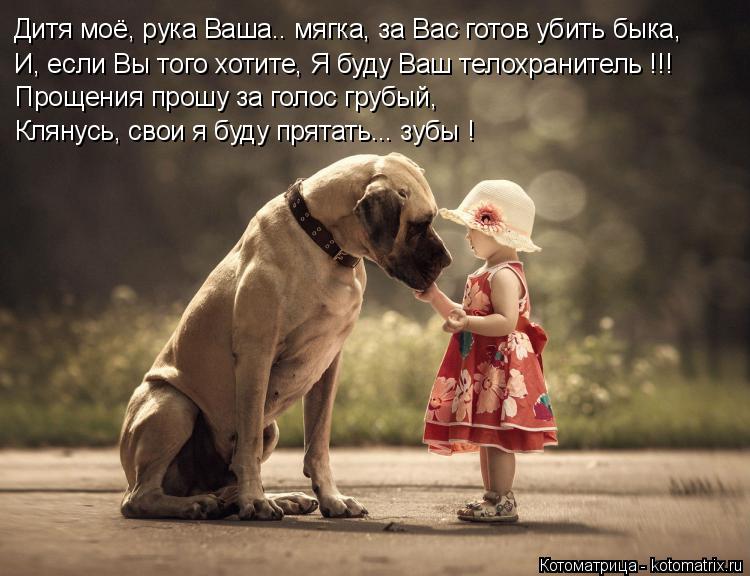 Котоматрица: Дитя моё, рука Ваша.. мягка, за Вас готов убить быка, И, если Вы того хотите, Я буду Ваш телохранитель !!! Прощения прошу за голос грубый,  Клянус