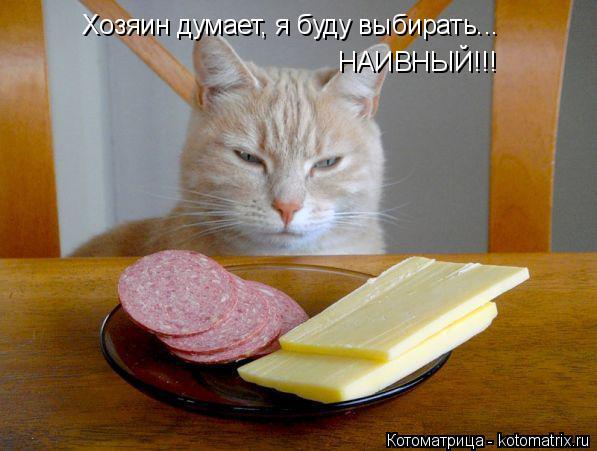Котоматрица: Хозяин думает, я буду выбирать... НАИВНЫЙ!!!