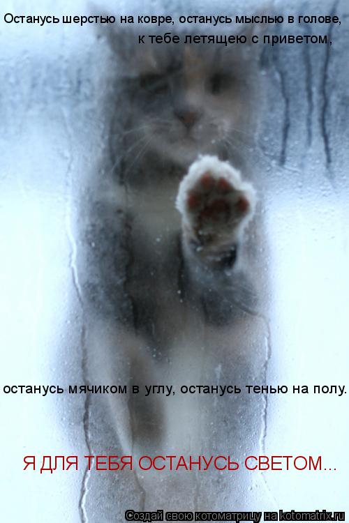 Котоматрица: Останусь шерстью на ковре, останусь мыслью в голове,  к тебе летящею с приветом,  останусь мячиком в углу, останусь тенью на полу.... Я ДЛЯ ТЕБЯ
