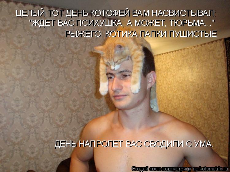 Котоматрица: РЫЖЕГО  КОТИКА ЛАПКИ ПУШИСТЫЕ ДЕНЬ НАПРОЛЕТ ВАС СВОДИЛИ С УМА. ЦЕЛЫЙ ТОТ ДЕНЬ КОТОФЕЙ ВАМ НАСВИСТЫВАЛ: "ЖДЕТ ВАС ПСИХУШКА, А МОЖЕТ, ТЮРЬМА..."