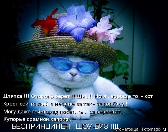 Котоматрица: Крест сей тяжкий я несу не за так - за колбасу ! Могу даже гей-парад посетить... за сервелат... Шляпка !!! Оторопь берёт !! Шик !! Но я , вообще то, - к