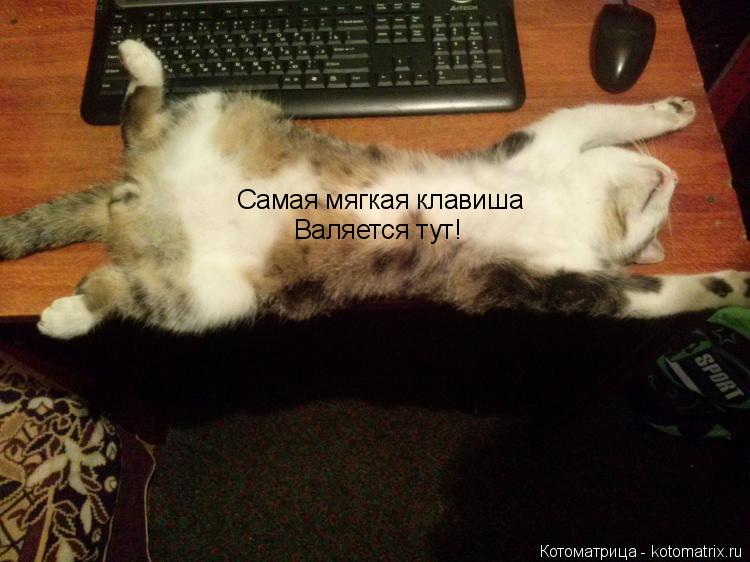 Котоматрица: Самая мягкая клавиша Валяется тут!