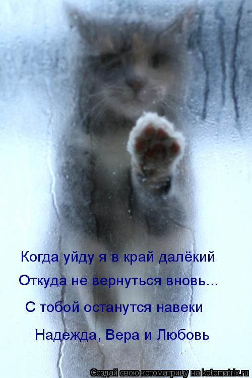 Котоматрица: Когда уйду я в край далёкий Откуда не вернуться вновь... С тобой останутся навеки Надежда, Вера и Любовь