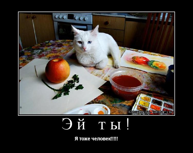 Котоматрица: Эй ты! Я тоже человек!!!!!