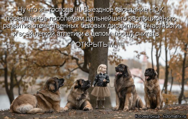 Котоматрица: Ну что ж , господа !!! Выездное заседание НОК,  посвящённое проблемам дальнейшего эволюционного развития отечественных беговых дисциплин в 